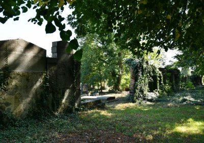 Teplice, Omnium, 2020