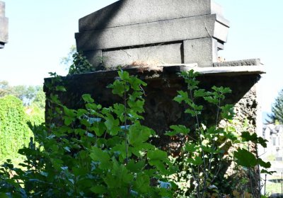 Teplice, Omnium, 2020