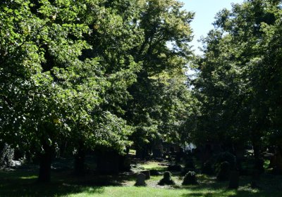 Teplice, Omnium, 2020