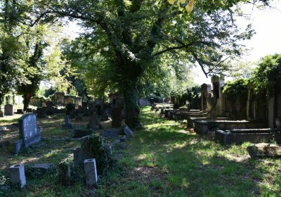 Teplice, Omnium, 2020