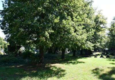 Teplice, Omnium, 2020