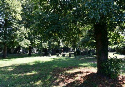 Teplice, Omnium, 2020