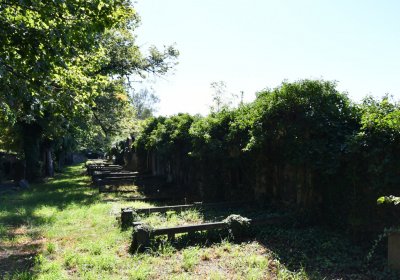 Teplice, Omnium, 2020