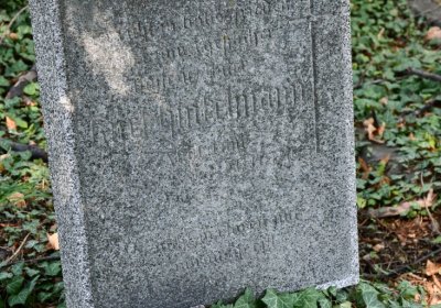 Teplice, Omnium, 2020