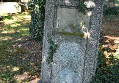 Teplice, Omnium, 2020