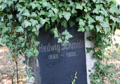 Teplice, Omnium, 2020