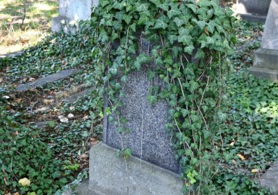 Teplice, Omnium, 2020