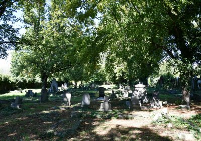 Teplice, Omnium, 2020