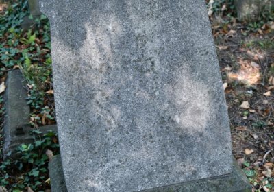 Teplice, Omnium, 2020