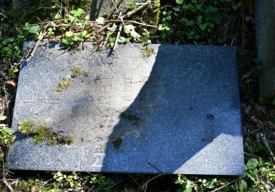 Teplice, Omnium, 2020