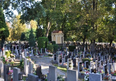 Teplice, Omnium, 2020