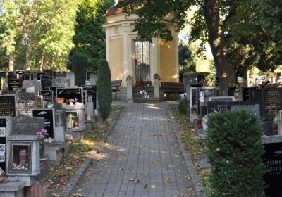 Teplice, Omnium, 2020