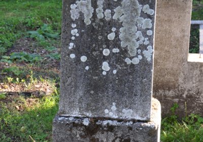 Teplice, Omnium, 2020