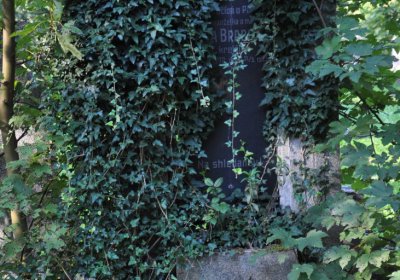 Teplice, Omnium, 2020