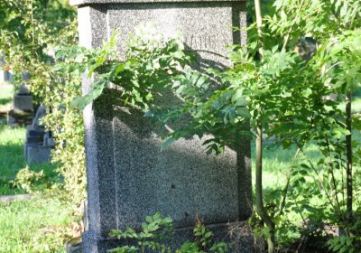 Teplice, Omnium, 2020