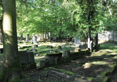 Teplice, Omnium, 2020