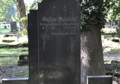 Teplice, Omnium, 2020