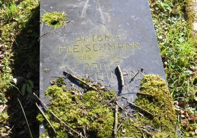 Teplice, Omnium, 2020