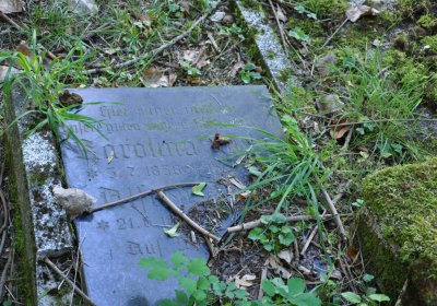 Teplice, Omnium, 2020