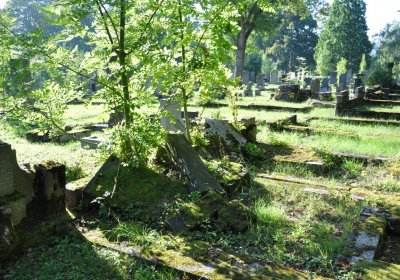 Teplice, Omnium, 2020