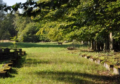 Teplice, Omnium, 2020