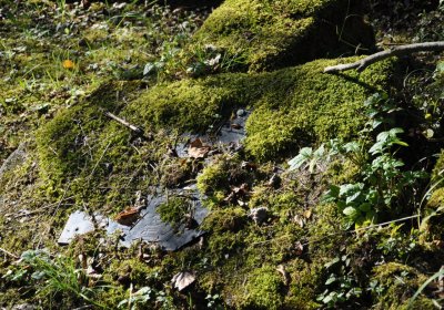 Teplice, Omnium, 2020