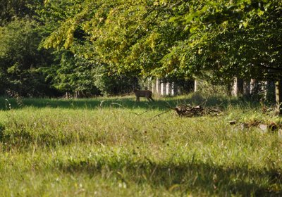 Teplice, Omnium, 2020