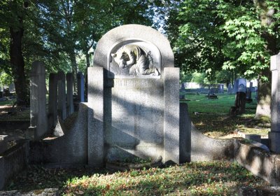 Teplice, Omnium, 2020