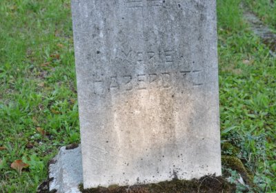 Teplice městský, Omnium, 2020