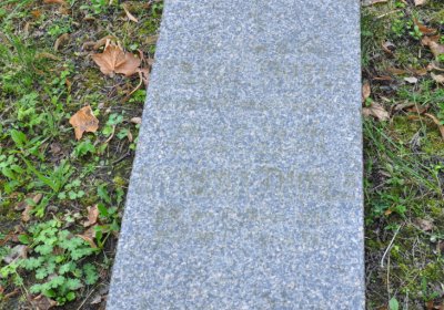 Teplice městský, Omnium, 2020