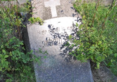 Teplice městský, Omnium, 2020