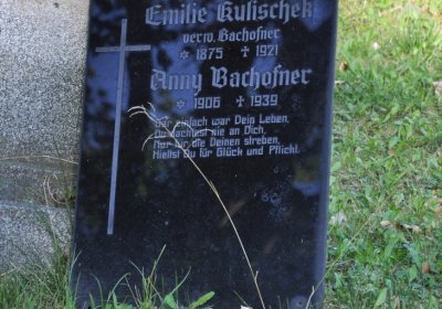 Teplice městský, Omnium, 2020