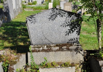 Teplice městský, Omnium, 2020