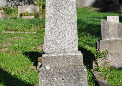 Teplice městský, Omnium, 2020