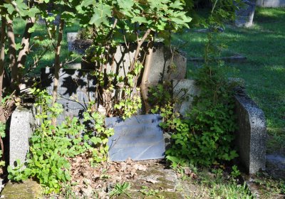 Teplice městský, Omnium, 2020