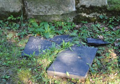 Teplice městský, Omnium, 2020