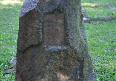 Teplice městský, Omnium, 2020