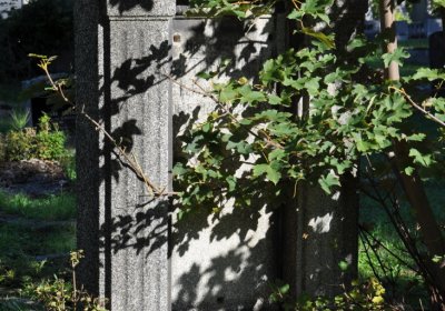 Teplice městský, Omnium, 2020