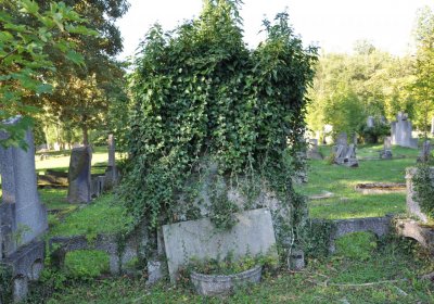 Teplice městský, Omnium, 2020