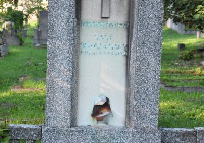 Teplice městský, Omnium, 2020