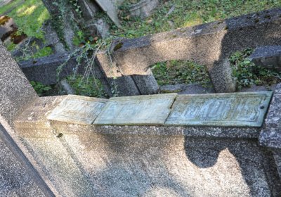 Teplice městský, Omnium, 2020