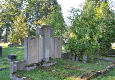 Teplice městský, Omnium, 2020