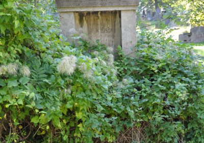 Teplice městský, Omnium, 2020