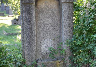 Teplice městský, Omnium, 2020