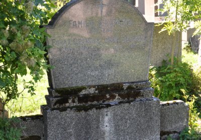 Teplice městský, Omnium, 2020