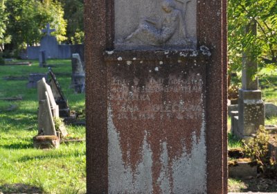 Teplice městský, Omnium, 2020