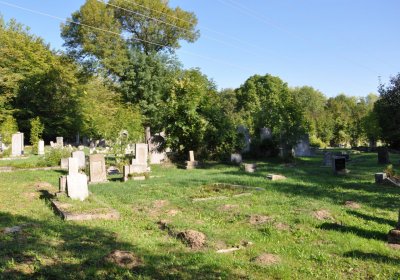 Teplice městský, Omnium, 2020