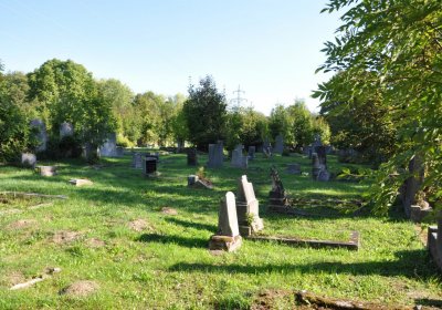 Teplice městský, Omnium, 2020