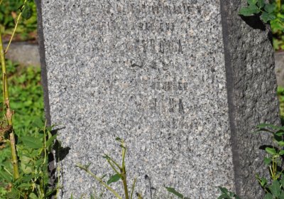 Teplice městský, Omnium, 2020