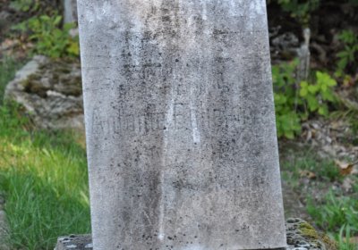 Teplice městský, Omnium, 2020